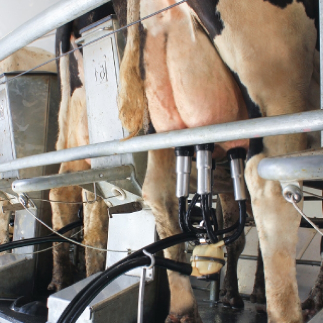 tecnologia_salas_de_ordeño_dimap