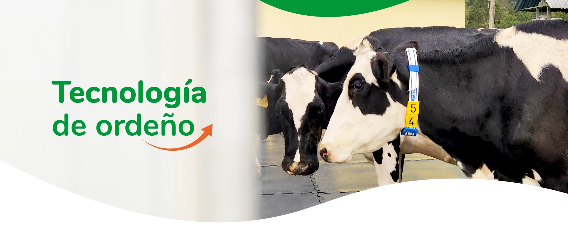 Tecnologia-Ordeno-dimap