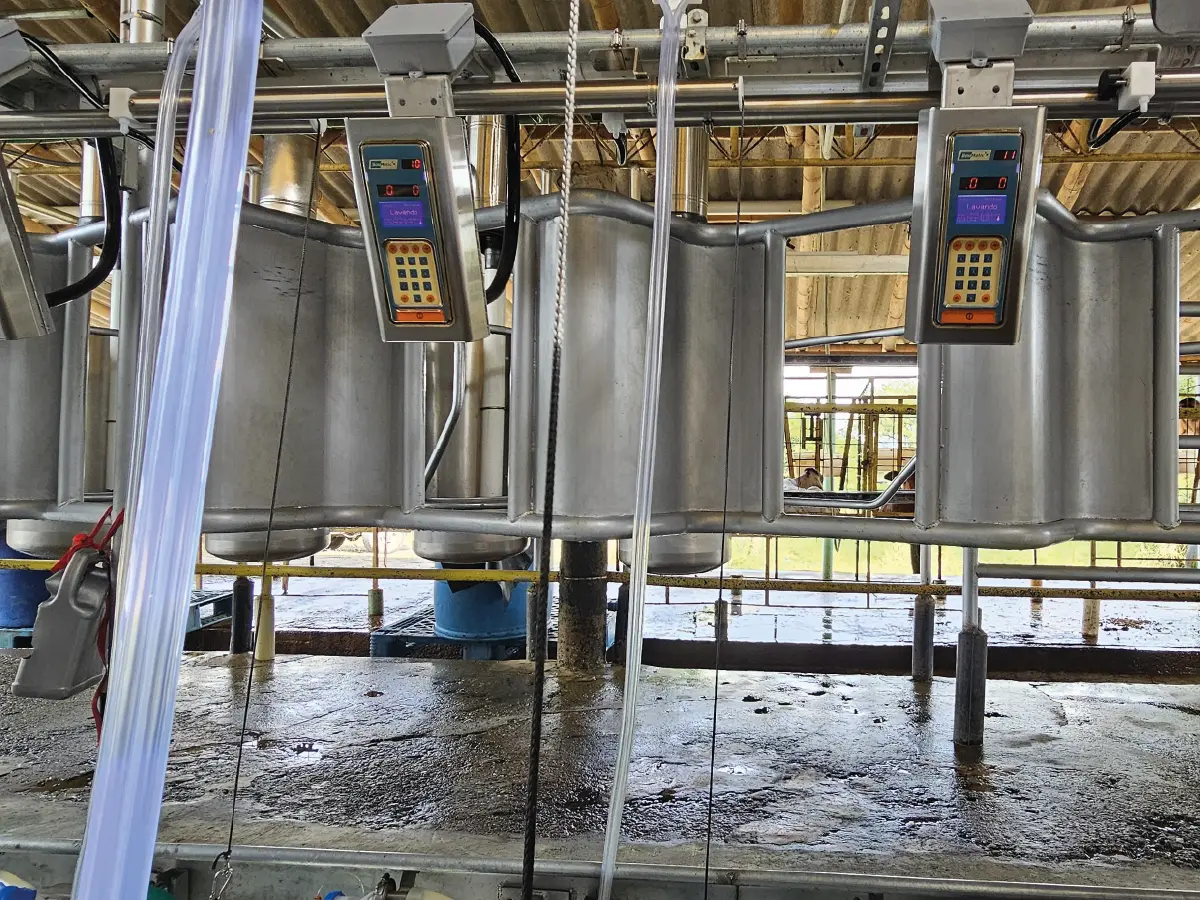 tecnologia_ordeno_TouchPoint_dimap-2